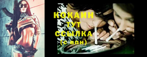 прущие грибы Дмитров