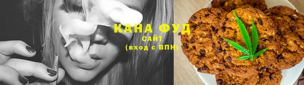 прущие грибы Дмитров