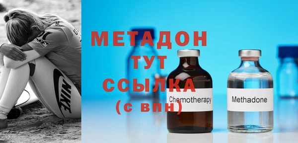 прущие грибы Дмитров