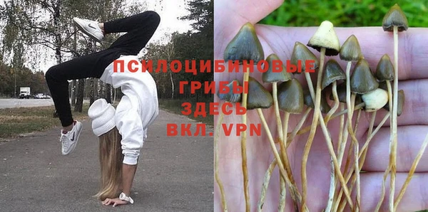 стафф Дмитриев