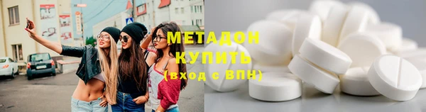 прущие грибы Дмитров