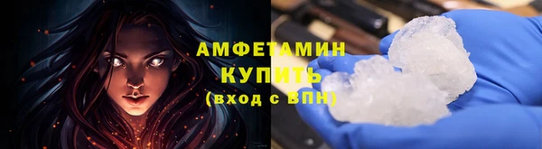 прущие грибы Дмитров