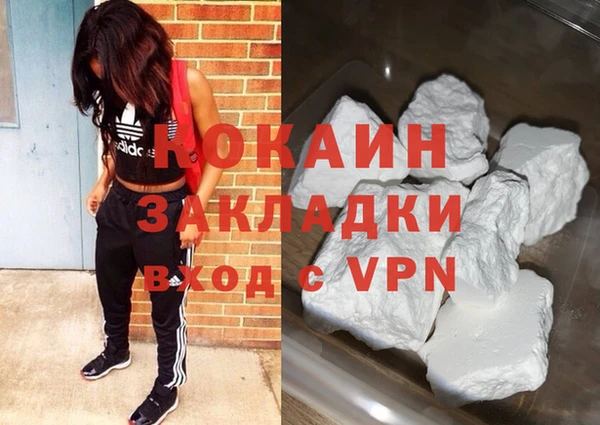 прущие грибы Дмитров