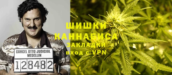 прущие грибы Дмитров