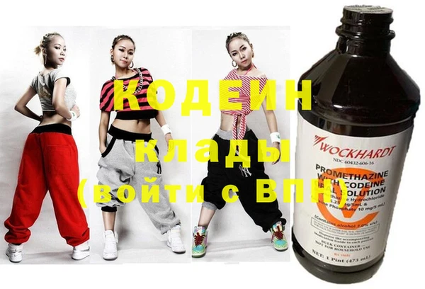 прущие грибы Дмитров