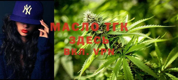 прущие грибы Дмитров