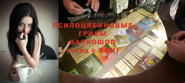 стафф Дмитриев