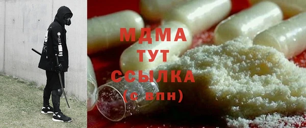 прущие грибы Дмитров